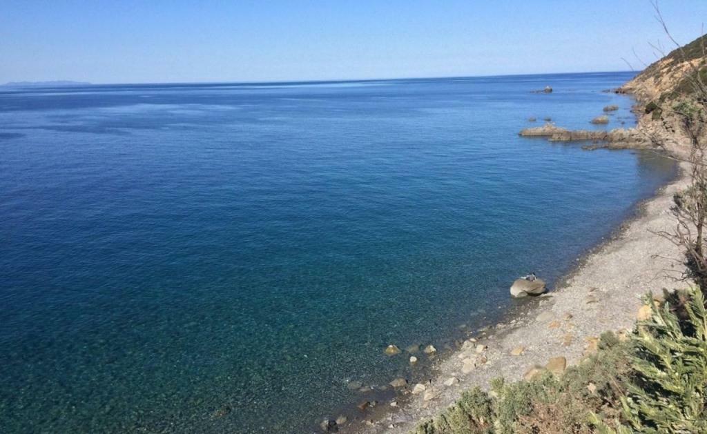 Dolce Vita Campiglia Marittima Bagian luar foto