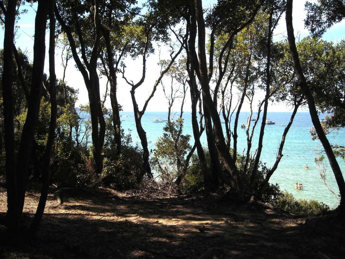 Dolce Vita Campiglia Marittima Bagian luar foto