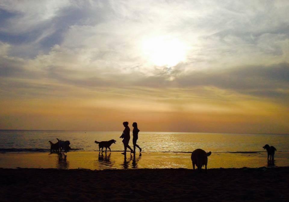 Dolce Vita Campiglia Marittima Bagian luar foto