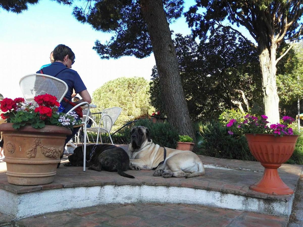 Dolce Vita Campiglia Marittima Bagian luar foto