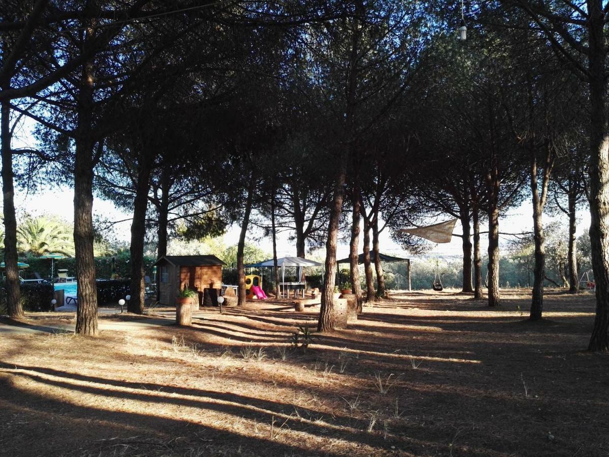 Dolce Vita Campiglia Marittima Bagian luar foto